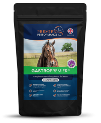 GastroPremier 