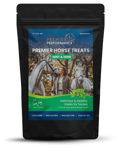 Premier Horse Treats 3KG