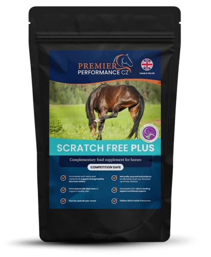 Scratch Free Plus