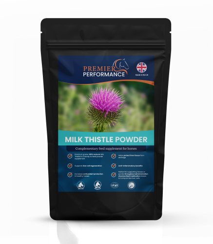 Milk Thistle Powder