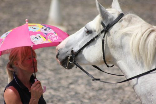 Horse behaviour and learning: Part 1