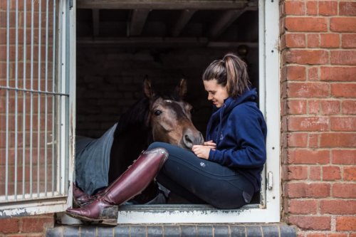 Feeding your horse for performance and recovery