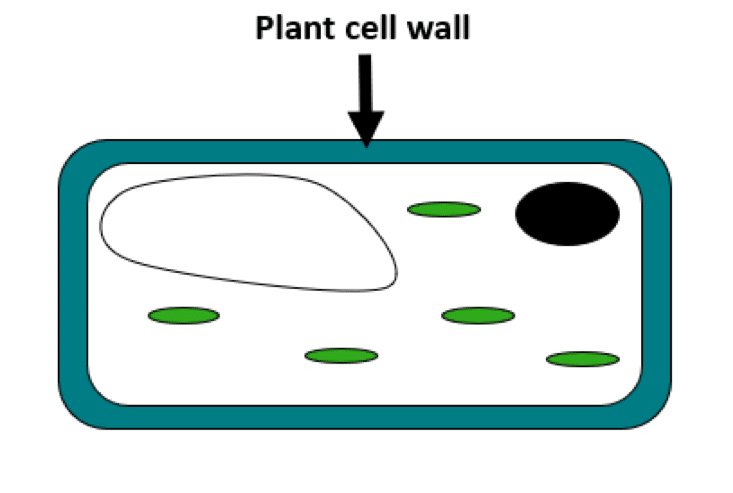 fig1