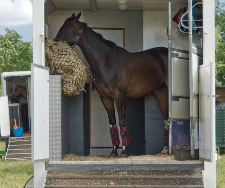 Safe Travels  Top tips for getting out with your horse