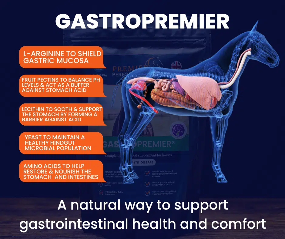 GastroPremier information