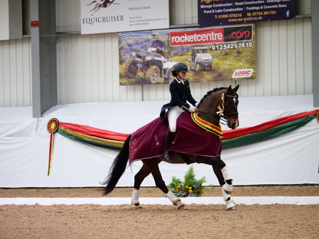 Horse in dressage competition